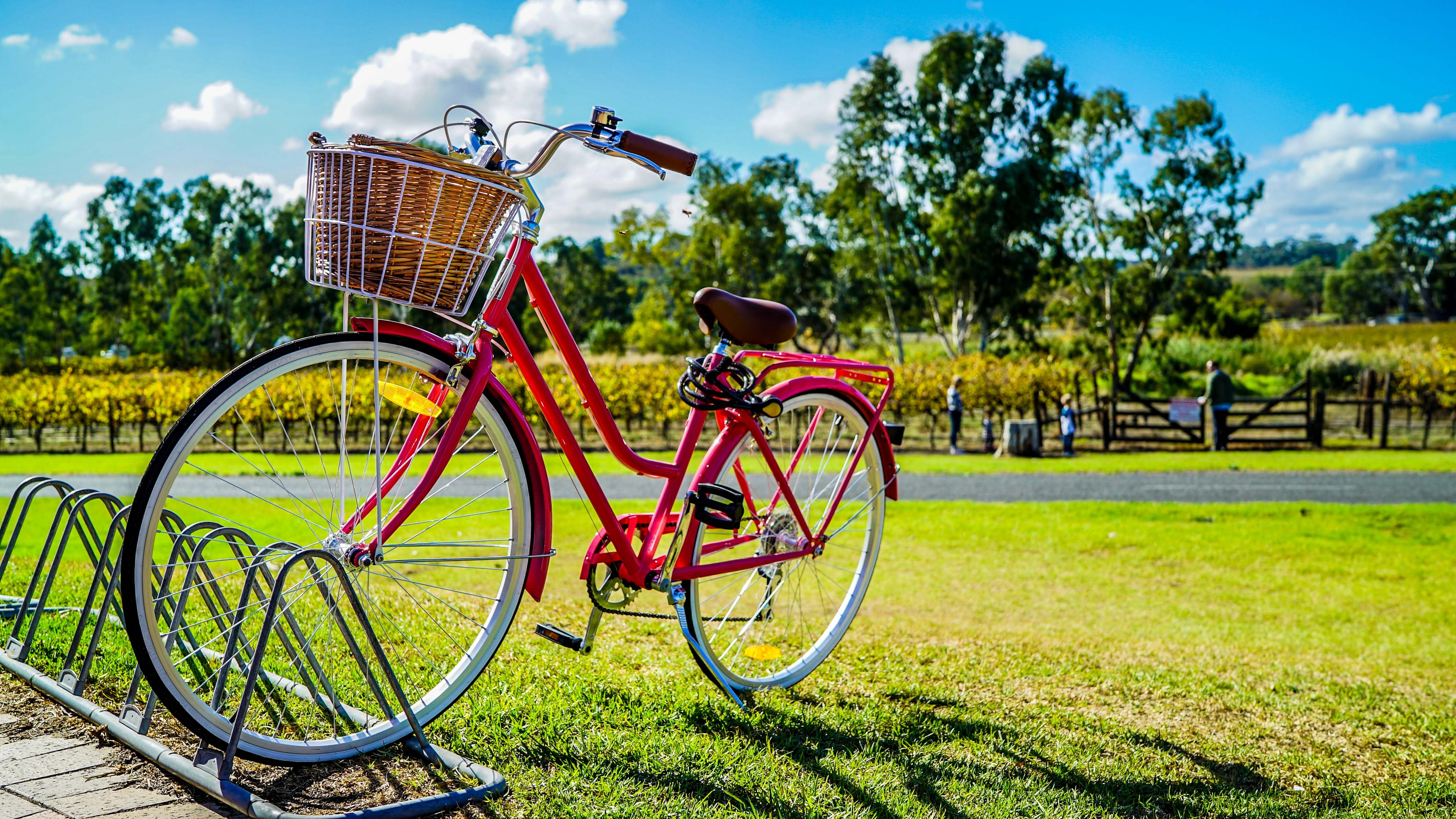 En cykel i fint väder