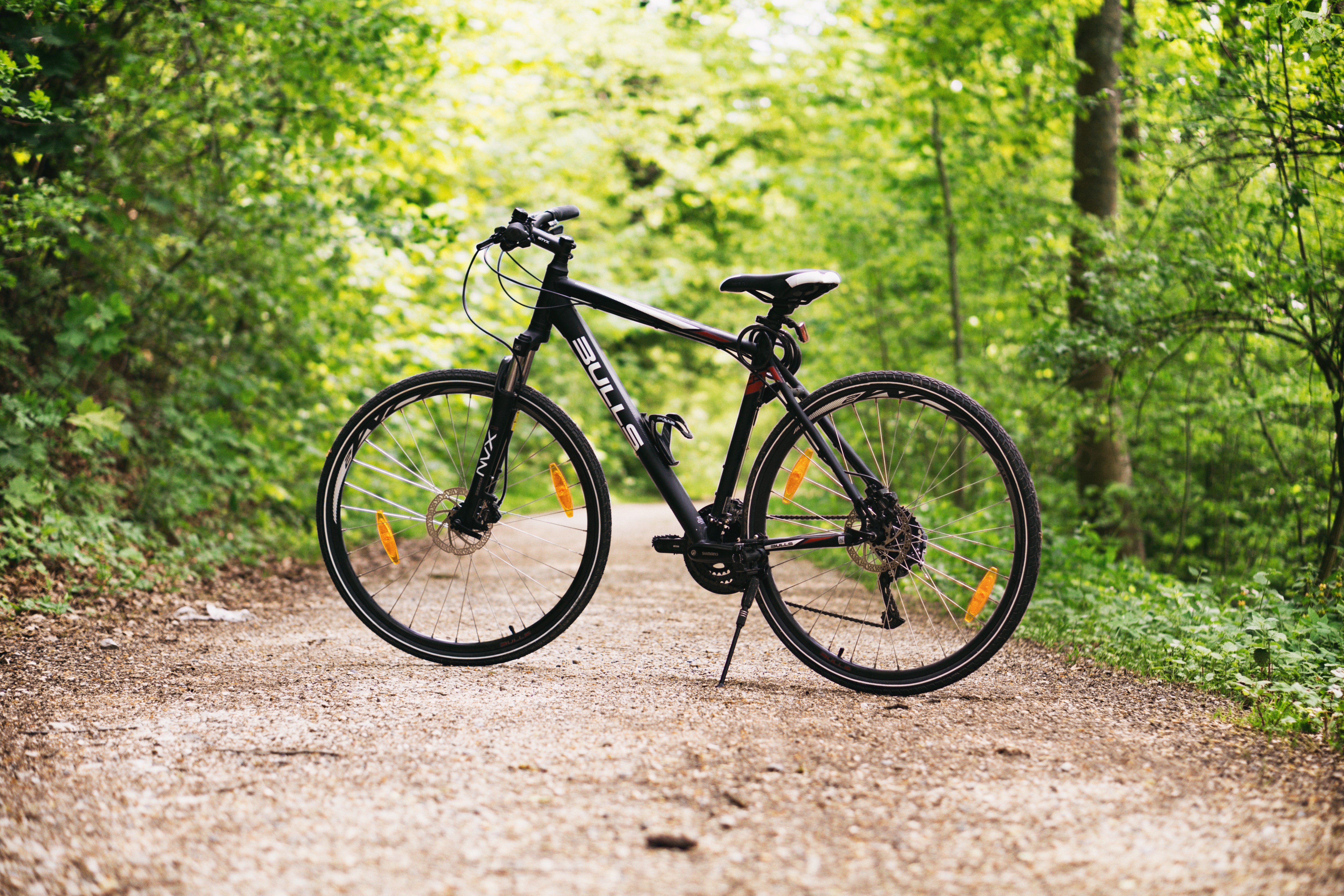 En cykel i en skog